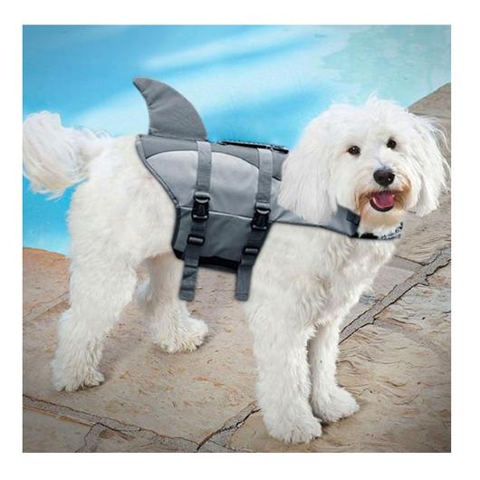 Does Your Dog Need a Dog Life Jacket?