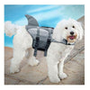 Does Your Dog Need a Dog Life Jacket?